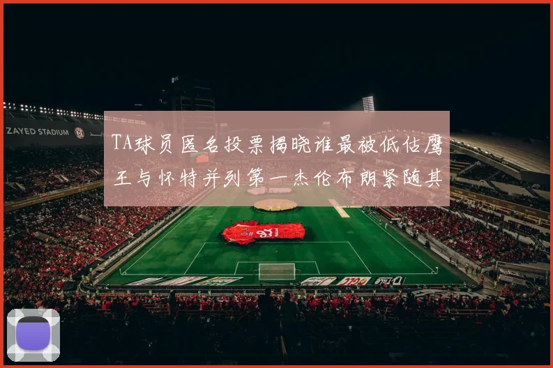TA球员匿名投票揭晓谁最被低估鹰王与怀特并列第一杰伦布朗紧随其后