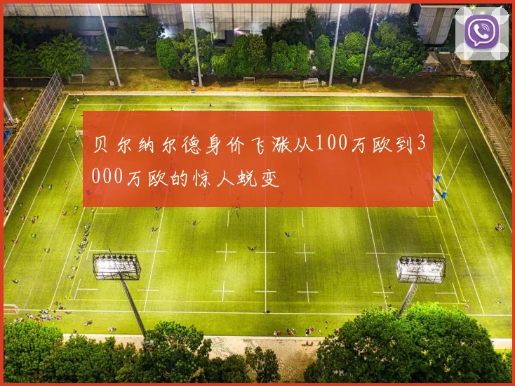 贝尔纳尔德身价飞涨从100万欧到3000万欧的惊人蜕变