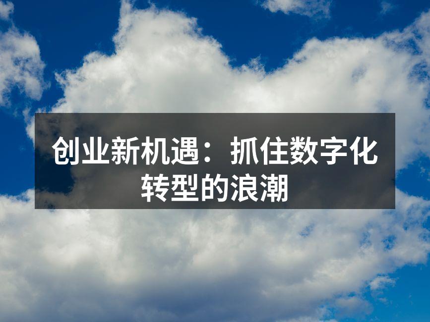 数字化转型助力创业成功