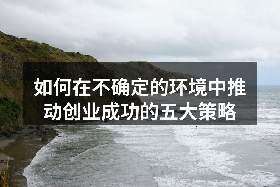 灵活团队,助力创业成功